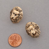 Aretes León